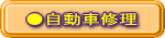 ԏC